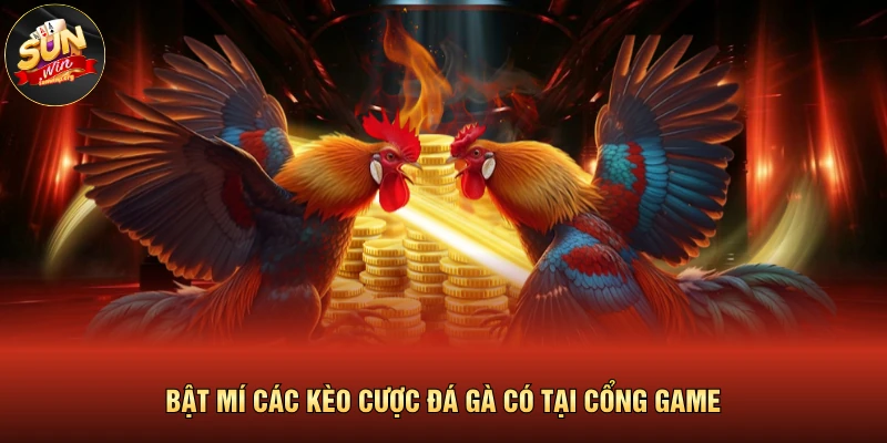 Bật mí các kèo cược đá gà có tại cổng game