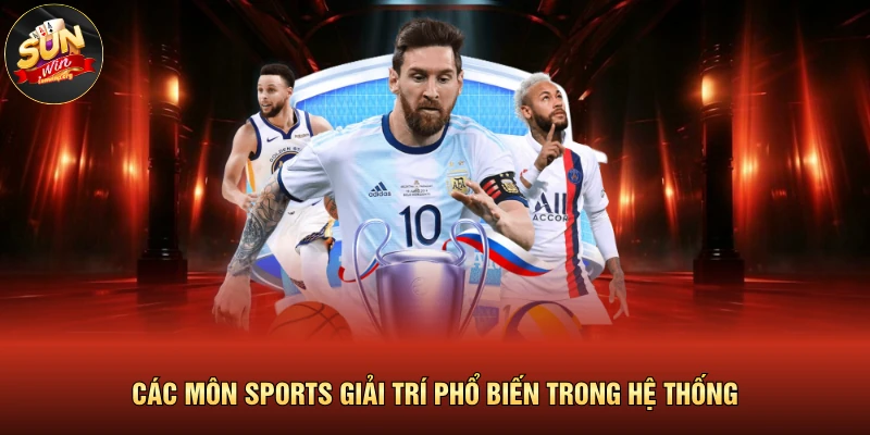 Các môn sports giải trí phổ biến trong hệ thống