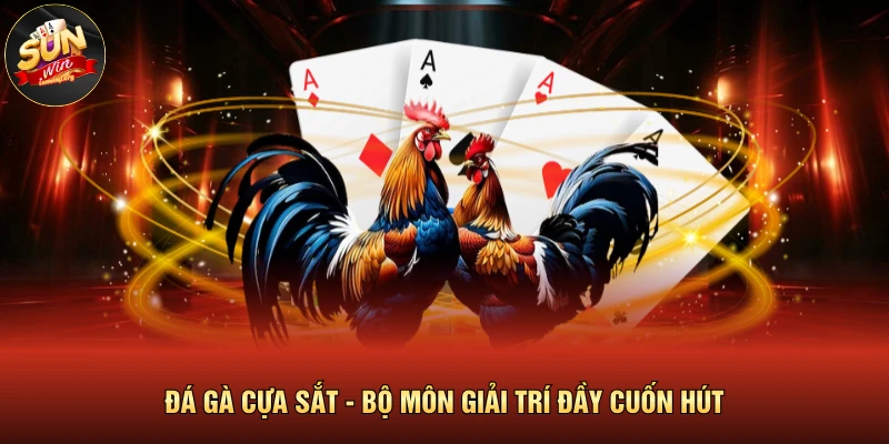 Đá gà cựa sắt - bộ môn giải trí đầy cuốn hút