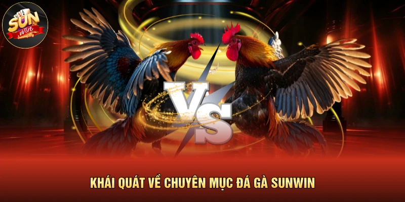 Khái quát về chuyên mục đá gà SUNWIN 