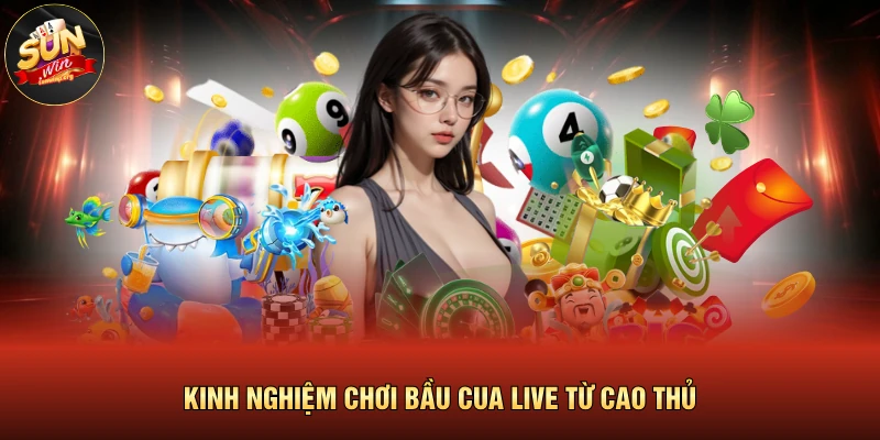 Kinh nghiệm chơi bầu cua live từ cao thủ