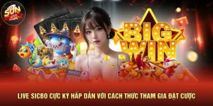 Live Sicbo Cực Kỳ Hấp Dẫn Với Cách Thức Tham Gia Đặt Cược