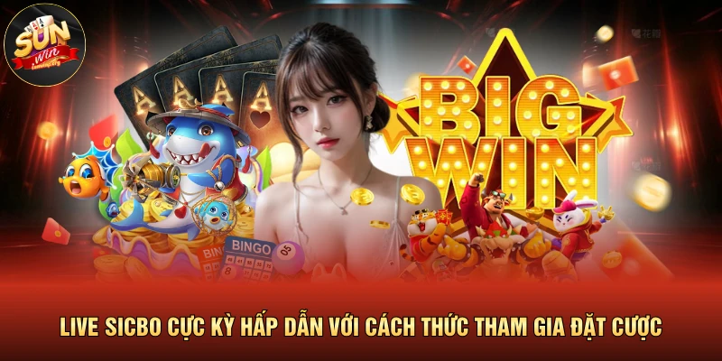 Live Sicbo Cực Kỳ Hấp Dẫn Với Cách Thức Tham Gia Đặt Cược