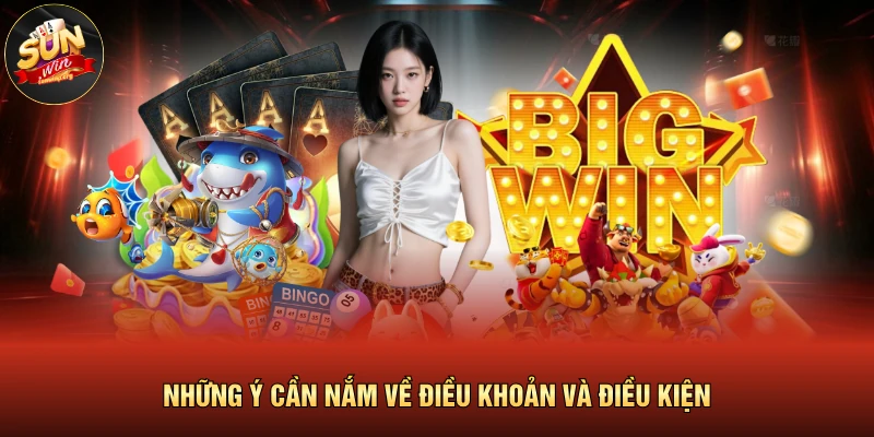 Những ý cần nắm về điều khoản và điều kiện 