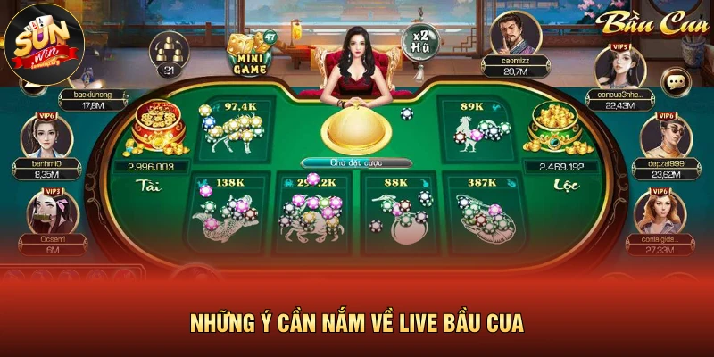 Những ý cần nắm về live bầu cua 